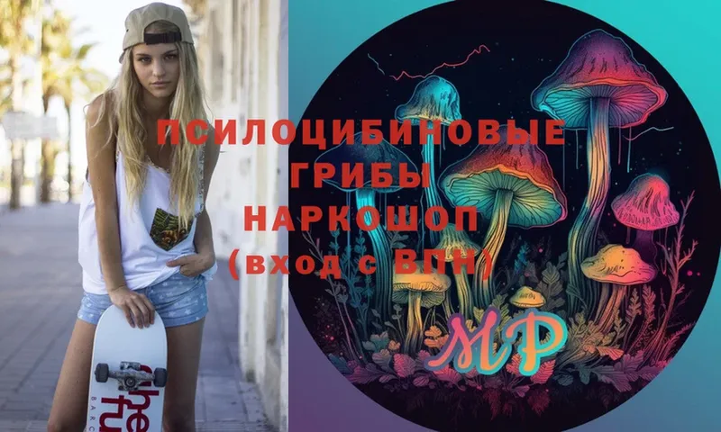 Псилоцибиновые грибы Psilocybe  Пучеж 